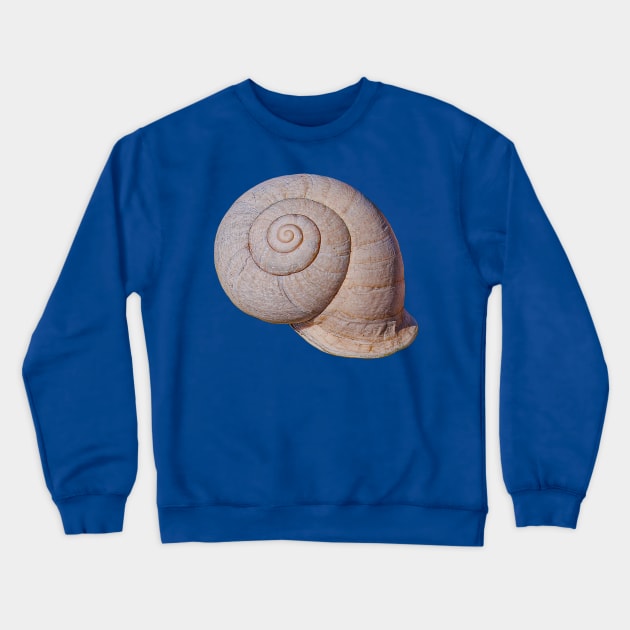 Snail Shell Crewneck Sweatshirt by dalyndigaital2@gmail.com